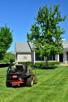 lawn care in Atlanta Georgia